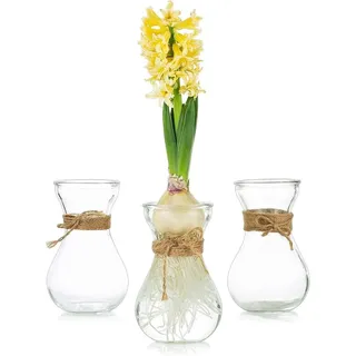 Glasvase mit Kordel – kleine Knopfflasche – Hyazinthenvase – dekorative Vase – rustikal