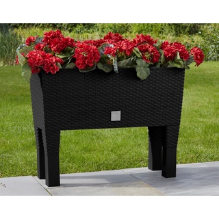 Prosperplast Rato Case High 60 x 25 x 46 cm anthrazit