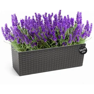 KONZEPT Balkonkasten Hochwertige Blumenkasten Rattan-Optikin, rechteckig 56 x 19 cm, Balkonkasten ideal fur Balkon, Terrasse, Fensterbank grau