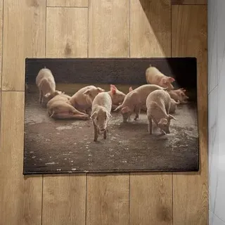 Ethereval Fußmatten Haustür Außen Lustig Fussmatte Personalisiert Familie Schwein Schmutzfangmatte Motiv Türmatte Usa 40X60cm