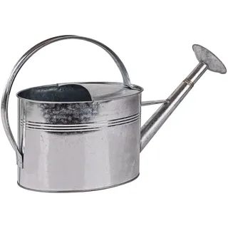 Dema Metall Gießkanne Victoria 5 Ltr. verzinkt Metall mit Brause Bewässerungskanne Wasserkanne Gießgerät Gießgefäß