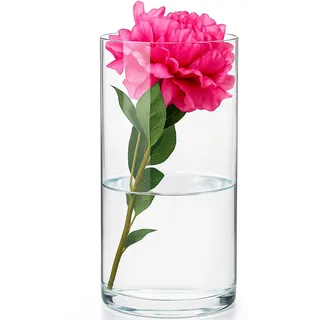 KONZEPT – Zylinder Glasvase (ø: 16 cm; H:30 cm), große Vase Glas, Moderne Blumenvase, transparente Glaszylinder, Tulpenvase, Glasvase für Blumen