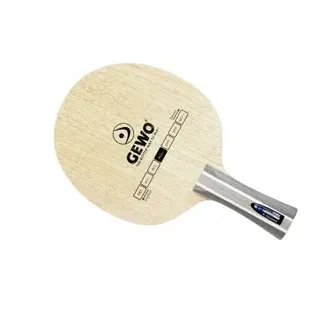 Gewo Hybrid Carbon A/Speed