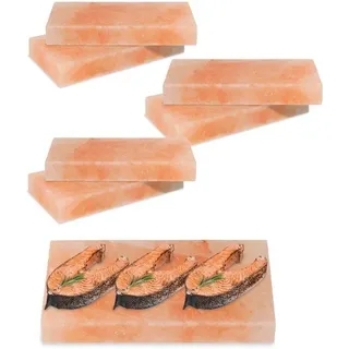 Himalaya-Grillstein 20×10×2,5 cm - 6 Stück - herstellbare Grillstein für Fleisch, Fisch und Gemüse - Rosa