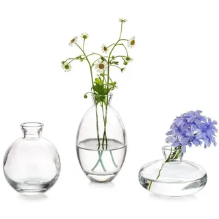 LuxusKollektion Tischvase Vintage Mini Glasvase Set 3-teilig Klar Handmade Blumenvase für