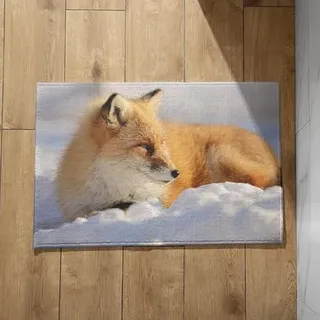 EHOMERY Fußmatte Innen Lang Schmal Fussmatte Selbst Gestalten Fuchs Schmutzfangmatte Schöner Wohnen Türmatte Außen Bunt 40x60cm,