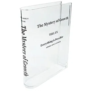 Buch-Blumenvase, transparente Buch-Blumenvase, gefüllt mit Rosen, Acryl-Blumenvase, buchförmige Vase, Bücherregal-Dekoration, Pflanzenvasen, dekorative moderne dekorative Flaschen für Hochzeitsgeschen