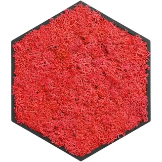 ebenkunst Hexagon Moosbild – Wanddeko aus schwarzem MDF | Schwarz durchgefärbtes MDF, konserviertes Islandmoos, ca. 19,6 x 22,6 cm, 6 Moosfarben, Made in Germany