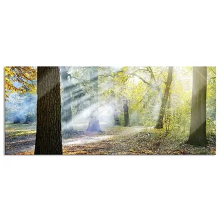 Pixxprint Glasbild Panorama, Wandbild aus Echtglas, Sonnenstrahlen im Wald, 100x40 cm, inkl. Aufhängung und Abstandshalter