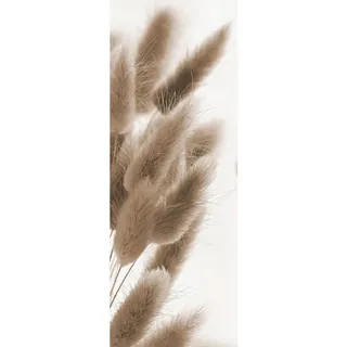 Euroart Glasbild, Natur, Weiß, Glas, rechteckig, 30x80x1.40 cm, Fotografie, einfache und schnelle Anbringung, glänzend, Bilder und Zubehör, Wandbilder, Glasbilder