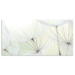 Küchenrückwand ARTLAND "Pusteblumen-Samen aufgehellt" Spritzschutzwände Gr. B/H: 100 cmx50 cm, grün Küchendekoration Alu Spritzschutz mit Klebeband, einfache Montage