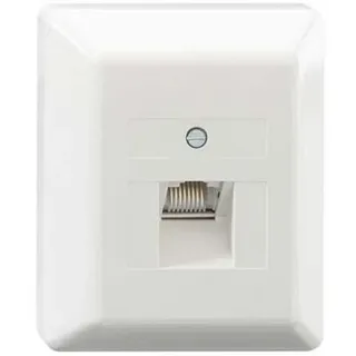 Rutenbeck Anschlußdose UAE 8(8) Ap rw