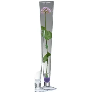 Sandra Rich Dekovase Glasvase Cielo konisch Ø 11 cm hot cut von Sandra Rich Ø 11 cm x 60 cm