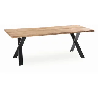 Niehoff Baumtisch Gartentisch 280 x 95 x 76 cm Grau