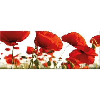 artissimo Bild aus Glas 80x30 cm Blumen AG1966A – modernes Glasbild Mohnblumen Wandbild Querformat, Wanddeko Wohnzimmer, rot, Landhaus modern