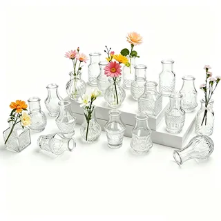 Otauoaea 20 Stück Kleine Glasvase,Vasen Set Vintage Mini Vasen Deko Set Verschiedene Groessen Blumenvase für Tischdeko Zuhause Hochzeiten Tafelaufsätze Party Wohnzimmer Geburtstage Feste,Transparent