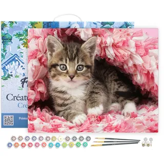 Figured'Art Malen Nach Zahlen Erwachsene Mit Rahmen Katze unter Decke - Paint by Numbers Basteln DIY Bastelset 40x50cm Leinwand gespannt auf Holzrahmen