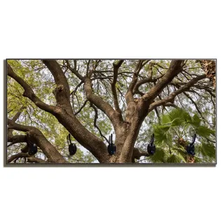 Wallario Garderobenpaneel Weit verzweigter Baum mit Palmen - Ansicht aus der Froschperspektive (1-teilig, inkl. Haken und Befestigung), 80x40cmHolz gelb