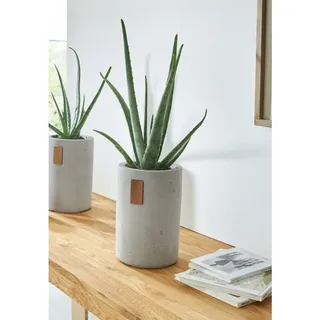 Dekoleidenschaft - Dekovase / Übertopf 'Tube' aus Beton, grau, Pflanztopf, Vase für Trockenblumen, Pflanzgefäß, Blumentopf, Blumenübertopf