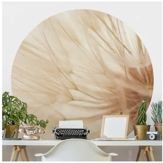 Bilderdepot24 Fototapete rund Blumen Weiche Pusteblume Natur Floral Wanddeko Beige, Glatt, Matt, (Vliestapete selbstklebend), Wohnzimmer Schlafzimmer Küche Wandtattoo Motivtapete Klebe Wandtapete beige 200 m x 200 m