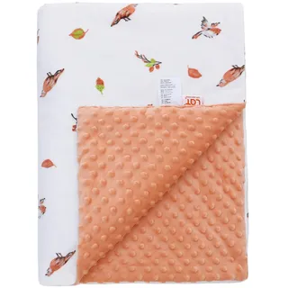 LAT Babydecke Kinderdecke mit Minky - Kuscheldecke Baby Krabbeldecke Kinderwagen Decke Unisex Baby Decke für Neugeborene Kinder, Babydecke Winter(Birds, 100 x 75cm)