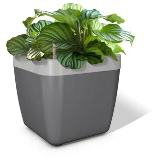 Blumenkasten