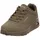 Olive 37,5