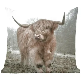 MuchoWow Dekokissen Schottische Highlander - Natur - Herbst - Tiere - Wildtiere - Wald, Zierkissen mit Füllung für Wohnzimmer, Sofakissen, 40x40 cm bunt Quadratisch | 40 cm x 15 cm x 40 cm