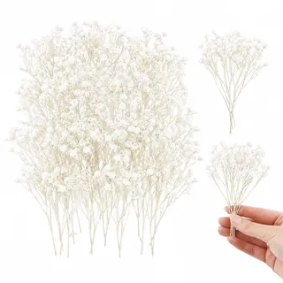 MLRUQRX 50 Stück Getrocknetes Schleierkraut, Weiß, Trockenblumen Standard Zum Basteln, Diy Für Fotorahmen, Lesezeichen