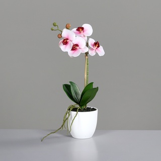 Orchidee ROSA (H 40 cm) H 40 cm rosa - rosa