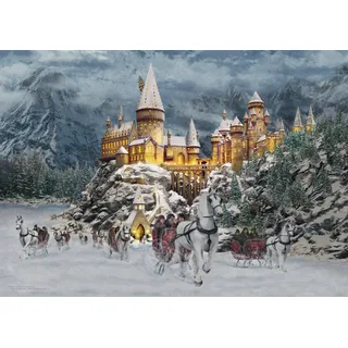 Schmidt Spiele Harry Potter Hogwarts Castle 1000 Teile