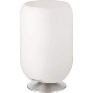 KOODUU Atmos LED Bluetooth Lautsprecher mit Getränkehalter Brushed Silver - Silber