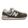 Calcium / Dark Silver Metallic 43