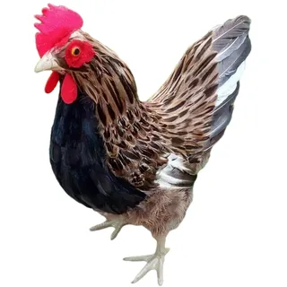 Fenteer Huhn Figur Gartenfigur Dekofiguren für Garten Haus Deko, 40cm