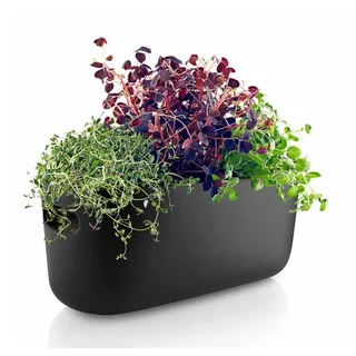eva solo Herb-Organiser 31 x 13 x 13 cm Schwarz