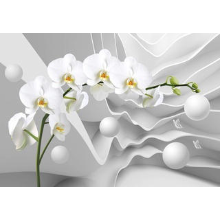 wandmotiv24 Fototapete 3D Effekt Blumen Orchideen Kugeln, XS 150 x 105cm - 3 Teile, Wanddeko, Wandbild, Wandtapete, Abstrakt Blüten M6096
