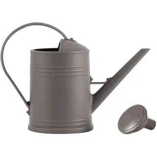 GießKanne Klein, Mini GießKanne, Giesskanne Klein, Giesskanne Zimmerpflanzen,Watering Can Mit Abnehmbarer Brause PflanzengießKanne BlumengießKanne DekogießKanne (Grau)