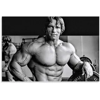 FANSH Arnold Schwarzenegger inspiriertes Fitness-Poster, dekoratives Gemälde, Leinwand, Wandkunst, Wohnzimmer, Poster, Schlafzimmer, Gemälde, 60 x 90 cm