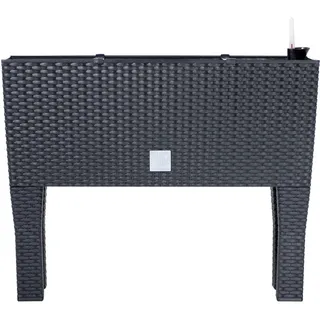 Prosperplast Rato Case High 60 x 25 x 46 cm anthrazit
