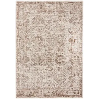 mazovia Kurzflorteppich 120 x 170 cm Beige/Braun