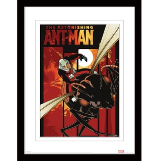 Marvel Ant Man Poster (Astonishing Design with White Rand) Canvas Framed Print 30x40cm Frame, Marvel Gifts for Women and Men, Marvel Gifts for Boys and Girls - Official Merchandise