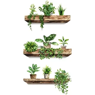 3d-wandaufkleber Mit Grünen Pflanzen, Blumentöpfe, Wanddekoration Für Wohnzimmer, Schlafzimmer, Büro, Küche (27 X 39 Cm, 3 Stück)