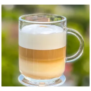 Topkapi 55753 Kaffeetassen Teegläser Becher Set mit Henkel Eda - 6 Personen | Kaffeegläser Teetassen Set für Heiß- & Kaltgetränke, Henkelbecher ideal für Cappuccino, Latte Macchiato, Glühwein, Punsch usw