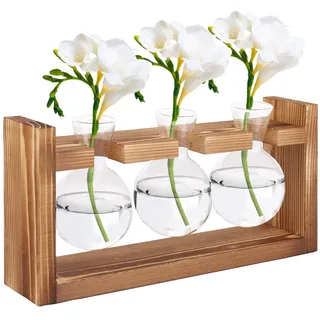LDXDRU Vintage Glasvase Blumenvase Kleine, Reagenzgläser Für Blumen, Hydroponik Reagenzglas Vase Mit Ständer Holz, Glas Pflanzer für Büro Haus Garten Dekor