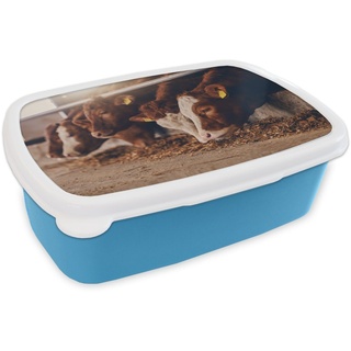 MuchoWow Lunchbox Kuh - Futter - Heu, Kunststoff, (2-tlg), Brotdose für kindergarten, Vesperbox, Snackbox, Brotbox, Jungen blau