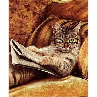 ABEUTY Wandkunst Katze Tier Bücher Sofa Malen nach Zahlen, DIY Ölgemälde auf Leinwand Gemälde 40x50cm (Ohne Rahmen, Brille Katze)