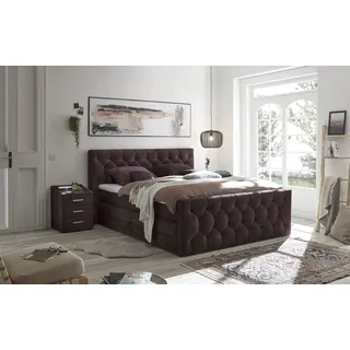 ed exciting design Cashfield 160 x 200 cm Aubergine