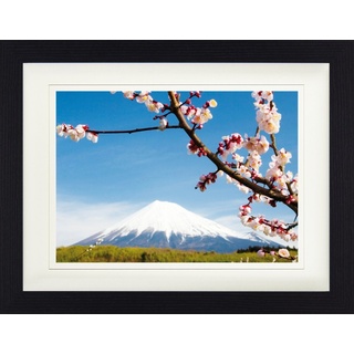 1art1 Bild mit Rahmen »Berge - Fuji Berg, Pflaumenblüten« 40 cm x 30 cm