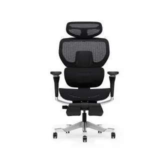 FlexiSpot Bürostuhl C7 Morpher Pro, C7B-MO-PRO, schwarz, Netz, mit Fußstütze & Kopfstütze, bis 163 kg