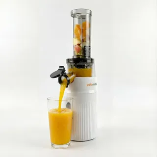 Zuminstant Compact Elektrische Saftpresse: kaltgepresst, reich an Nährstoffen, schäumender Entsafter, platzsparend, elegant und vielseitig, für frisches Obst und Gemüse, 100 W, Weiß
